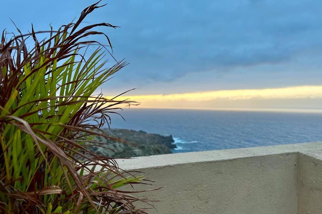 サンタクルスデテネリフェ Peaceful Oasis With Magical Sea Views And A Poolヴィラ エクステリア 写真