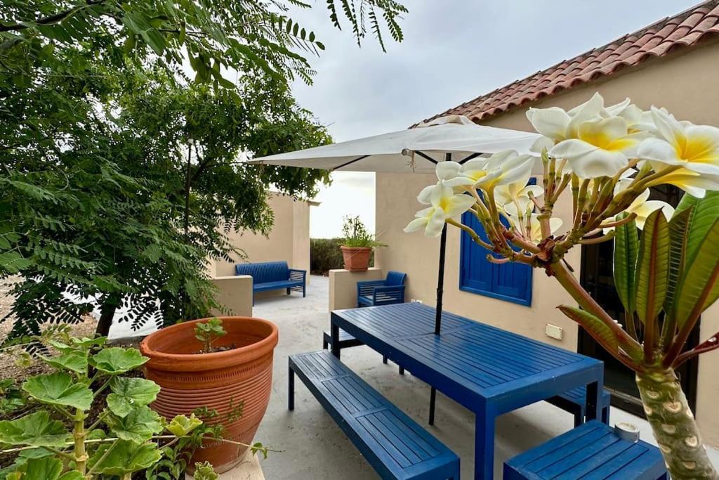 サンタクルスデテネリフェ Peaceful Oasis With Magical Sea Views And A Poolヴィラ エクステリア 写真