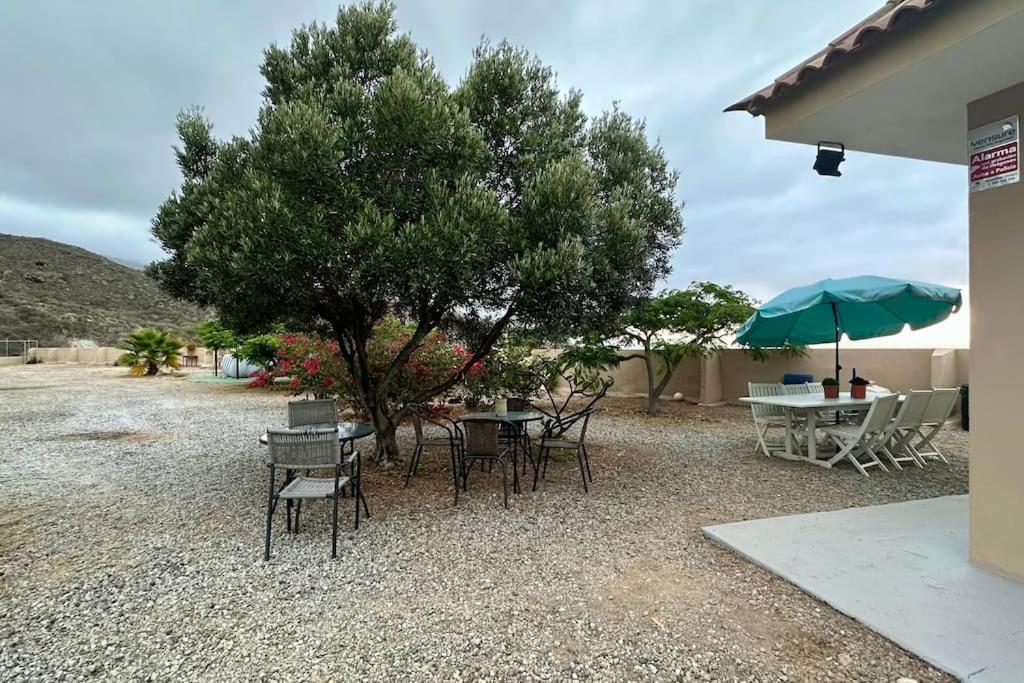 サンタクルスデテネリフェ Peaceful Oasis With Magical Sea Views And A Poolヴィラ エクステリア 写真