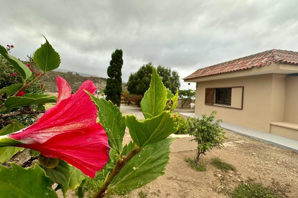 サンタクルスデテネリフェ Peaceful Oasis With Magical Sea Views And A Poolヴィラ エクステリア 写真