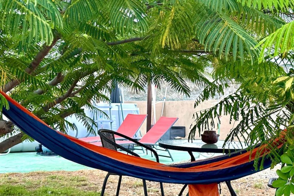 サンタクルスデテネリフェ Peaceful Oasis With Magical Sea Views And A Poolヴィラ エクステリア 写真