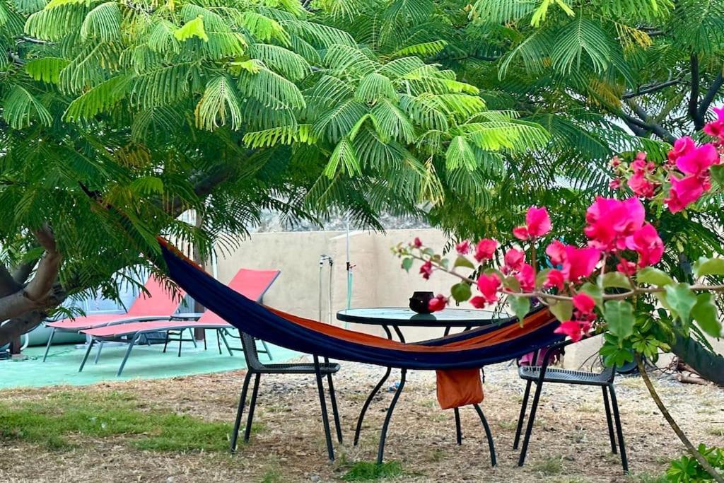 サンタクルスデテネリフェ Peaceful Oasis With Magical Sea Views And A Poolヴィラ エクステリア 写真