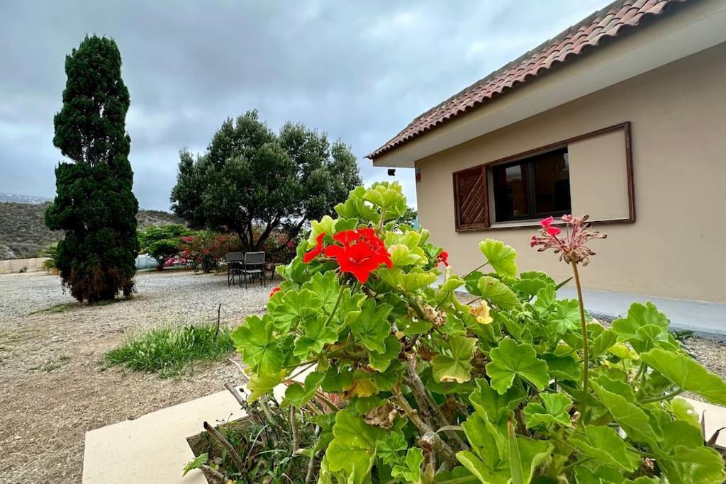 サンタクルスデテネリフェ Peaceful Oasis With Magical Sea Views And A Poolヴィラ エクステリア 写真